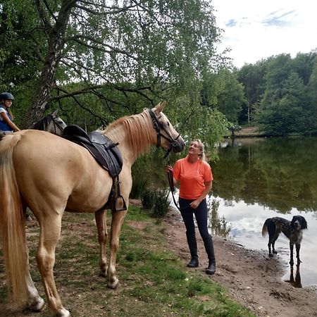 L'Echappee Verte - Gite Equestre 5 Pers Soucht Kültér fotó