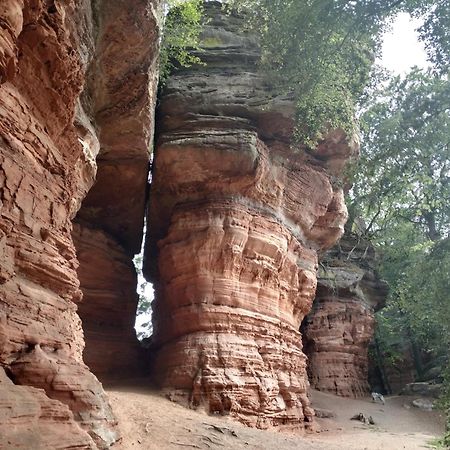 L'Echappee Verte - Gite Equestre 5 Pers Soucht Kültér fotó