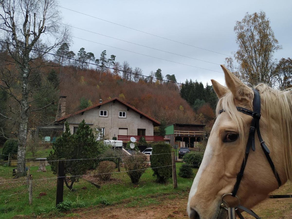 L'Echappee Verte - Gite Equestre 5 Pers Soucht Kültér fotó