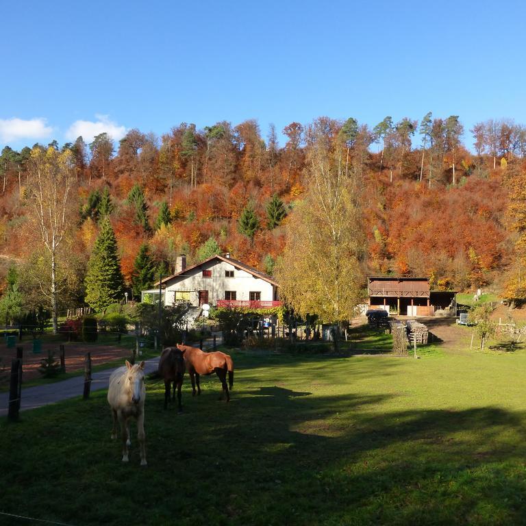 L'Echappee Verte - Gite Equestre 5 Pers Soucht Szoba fotó