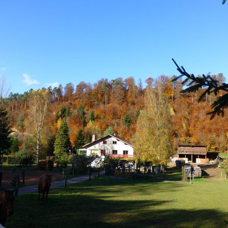 L'Echappee Verte - Gite Equestre 5 Pers Soucht Szoba fotó