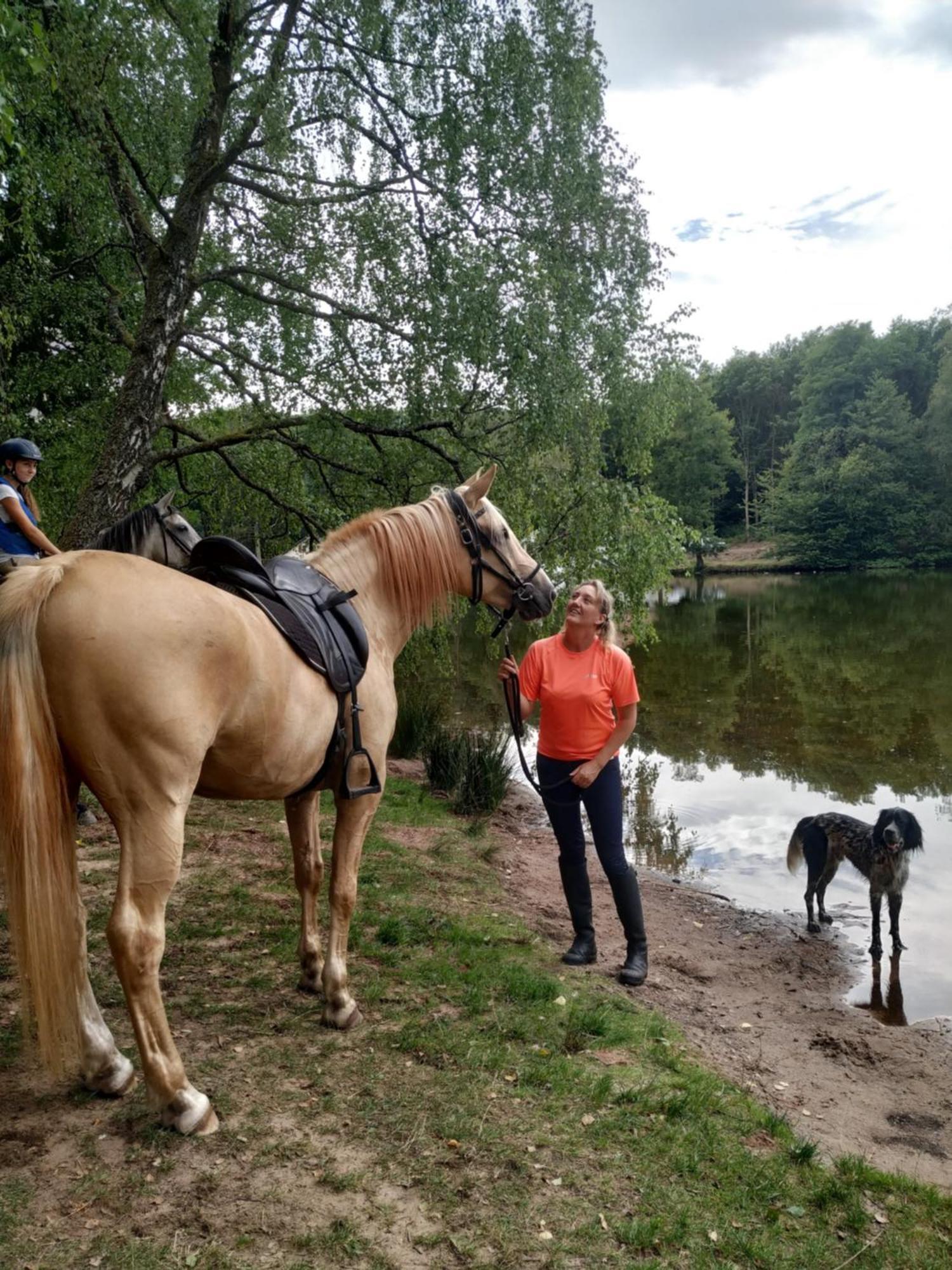L'Echappee Verte - Gite Equestre 5 Pers Soucht Kültér fotó