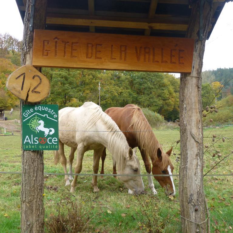 L'Echappee Verte - Gite Equestre 5 Pers Soucht Kültér fotó