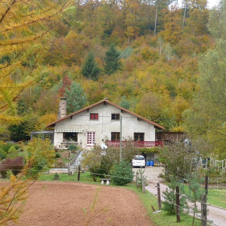 L'Echappee Verte - Gite Equestre 5 Pers Soucht Kültér fotó
