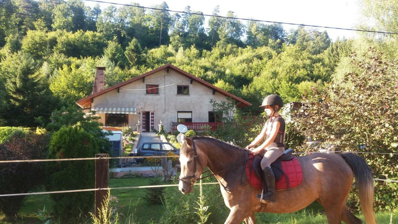 L'Echappee Verte - Gite Equestre 5 Pers Soucht Kültér fotó