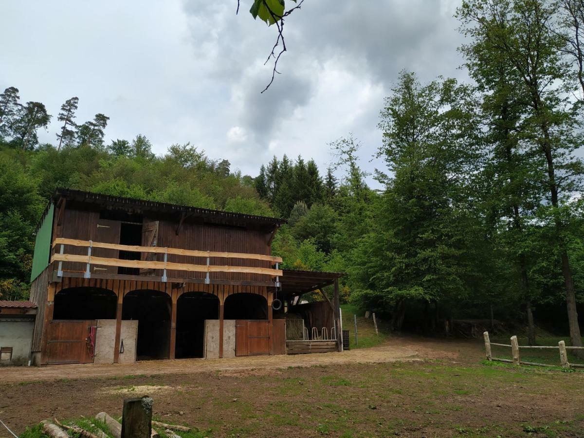 L'Echappee Verte - Gite Equestre 5 Pers Soucht Kültér fotó